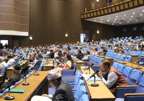 प्रतिनिधिसभाबाट भन्सार विधेयक पारित