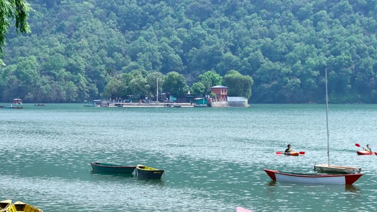 पोखरा फेवातालमा फसेका ८ जनाको उद्धार