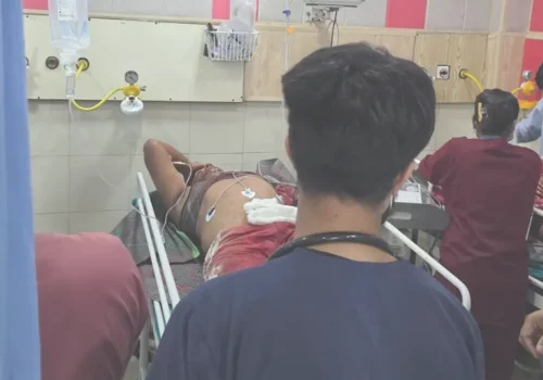 खुर्पा प्रहार एक व्यक्तिले गरे छोरी र भतिजको हत्या