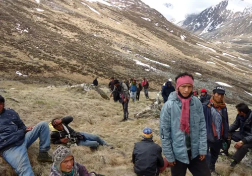 मुगुको पाटन क्षेत्रमा अनुमति बिना यार्सा संकलन गर्नेको भीड