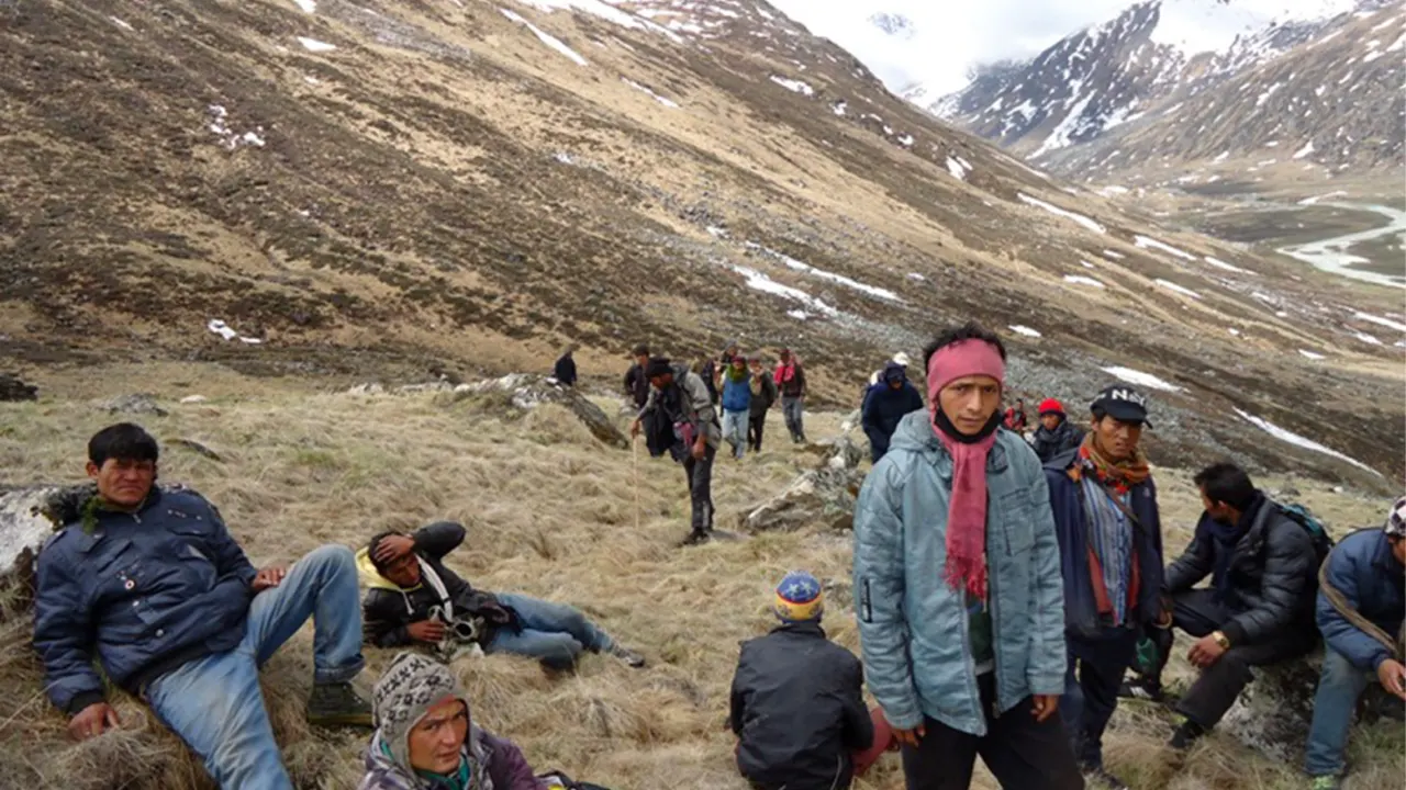 मुगुको पाटन क्षेत्रमा अनुमति बिना यार्सा संकलन गर्नेको भीड