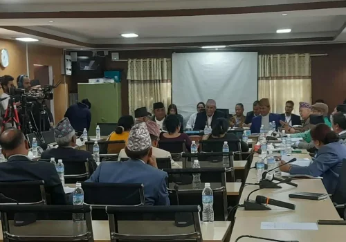 निजामती विधेयक सरकारले माग्यो एक साताको समय