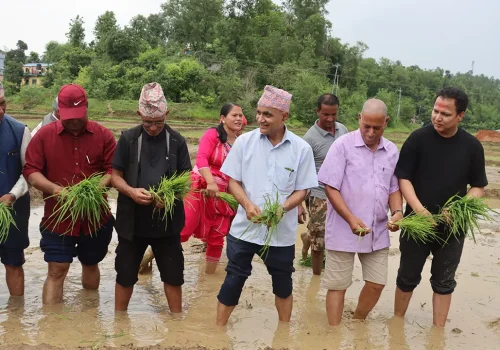 कर्णाली प्रदेशको आर्थिक समृद्धिको आधार कृषि हो : मुख्यमन्त्री कँडेल
