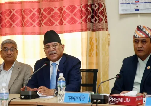 संसदीय समितिमा सर्वसम्मत पारित भएका विधेयकमाथि छेडखानी नहोस् : अध्यक्ष प्रचण्ड