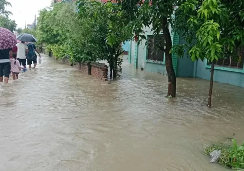 धनगढीमा भारी वर्षाका कारण घरहरू डुबानमा
