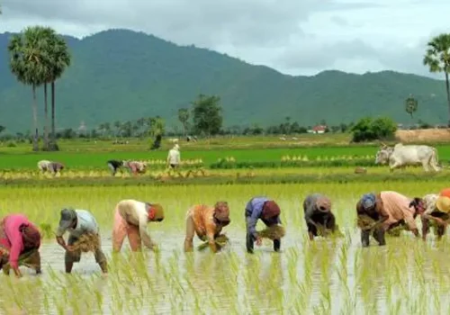 २२औं राष्ट्रिय धान दिवसको हार्दिक शुभकामना !