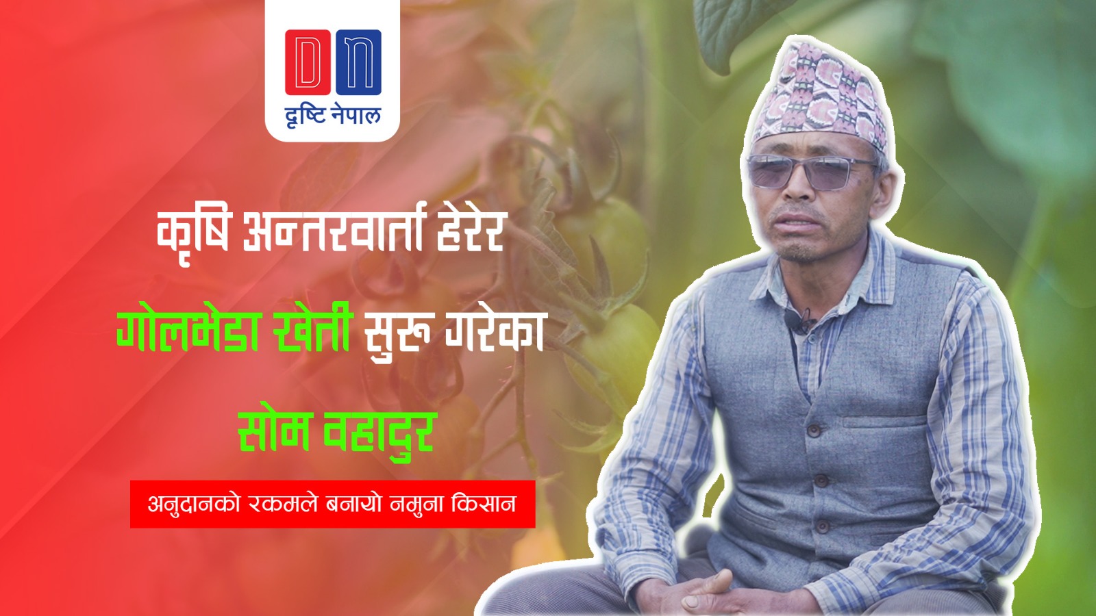 कृषि अन्तरवार्ता हेरेर गाेलभेडा खेती सुरु गरेका सोम वहादुर नमुना किसान वने