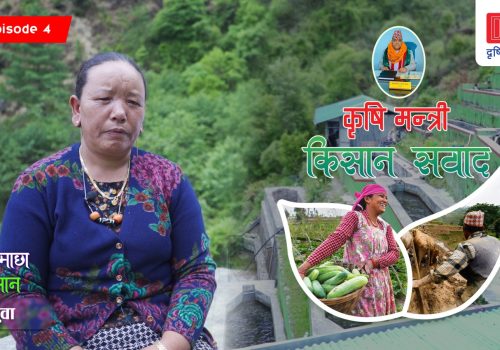 अनुदानको रकमलाई सहि सदुपयोग गरे सफल भइन्छ : याङजी तामाङ