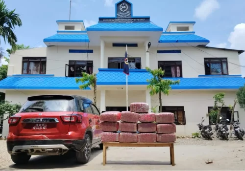 रौतहटमा सवारी चेकजाँचको क्रममा १३३ केजी गाँजा बरामद