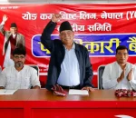 संघीय निजामति विधेयकमा बदमासी गर्नेलाई कारबाही गर्नुपर्छ : अध्यक्ष प्रचण्ड