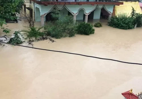 अविरल वर्षाका कारण बर्दघाट क्षेत्र डुबानमा