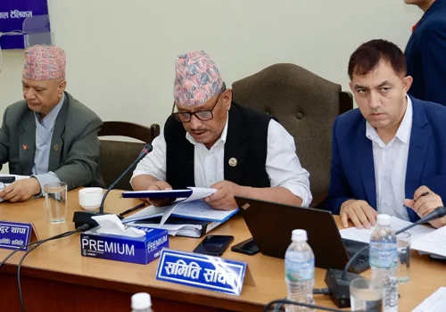 शिक्षा विधेयकलाई आजनै पारित गर्ने समितिको तयारी