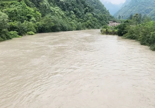 तमोरको बाढीले बेलिब्रिज बगायो