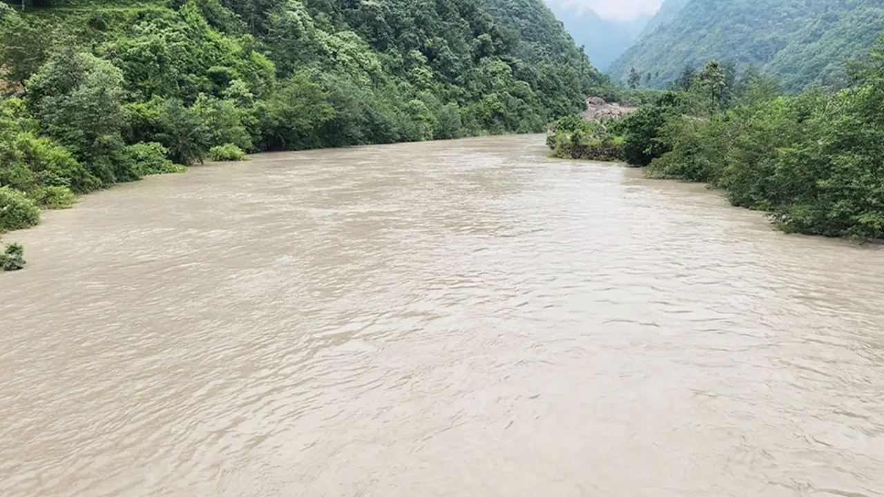 तमोरको बाढीले बेलिब्रिज बगायो