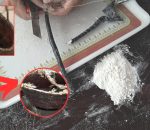 लागुऔषध सहित दुई जना पक्राउ