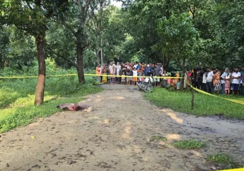 सिरहामा अपहरणमा परेका बालकको हत्या