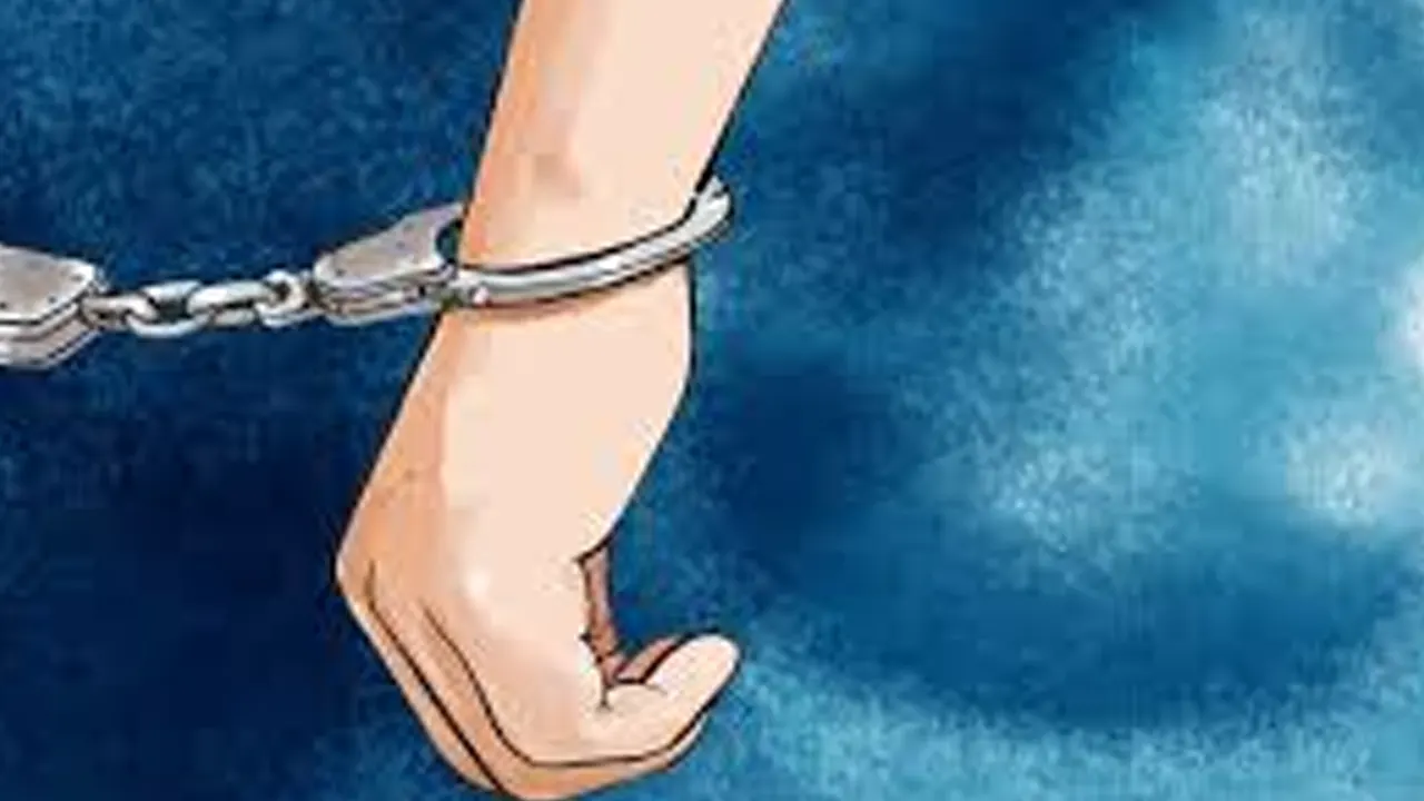 इन्टरपोलबाट रेड नोटिस जारी भएकी महिला दुबईबाट पक्राउ