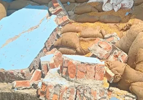 दाना उद्योगको पर्खाल भत्किँदा चितवनमा ३ जनाको मृत्यु, २ जना घाइते