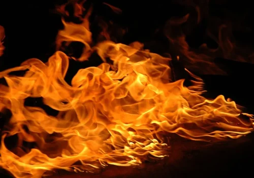 ताप्लेजुङको तेम्बा बजारमा आगलागी