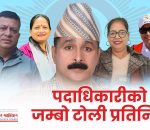 जिल्ला अध्यक्ष भुमि त्रीपाटी साहित पदाधिकारीको जम्बो टोली प्रतिनिधि