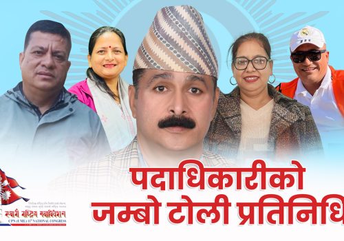 जिल्ला अध्यक्ष भुमि त्रीपाटी साहित पदाधिकारीको जम्बो टोली प्रतिनिधि