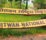 दुई हात्तीका छावा रुद्रकली र खगेन्द्र प्रसादलाई पुस २ गते कतार पठाइने