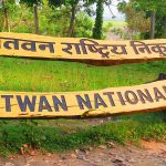 दुई हात्तीका छावा रुद्रकली र खगेन्द्र प्रसादलाई पुस २ गते कतार पठाइने