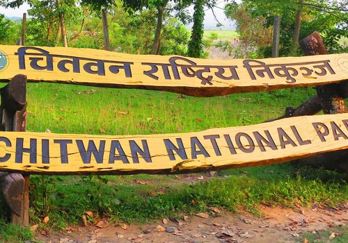 दुई हात्तीका छावा रुद्रकली र खगेन्द्र प्रसादलाई पुस २ गते कतार पठाइने