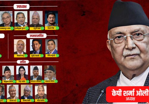 दुई जनाबाहेकक १७ जना ओली पक्ष विजयी