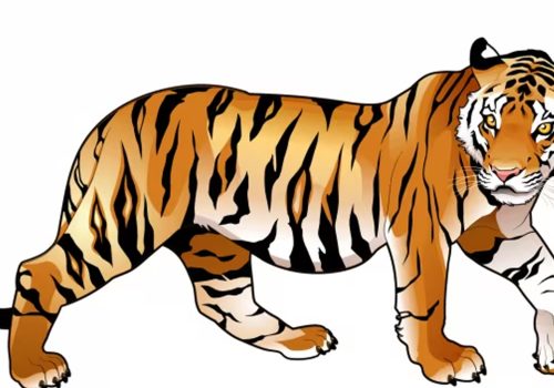 एक वृद्धाको बाघको आक्रमणमा परी मृत्यु