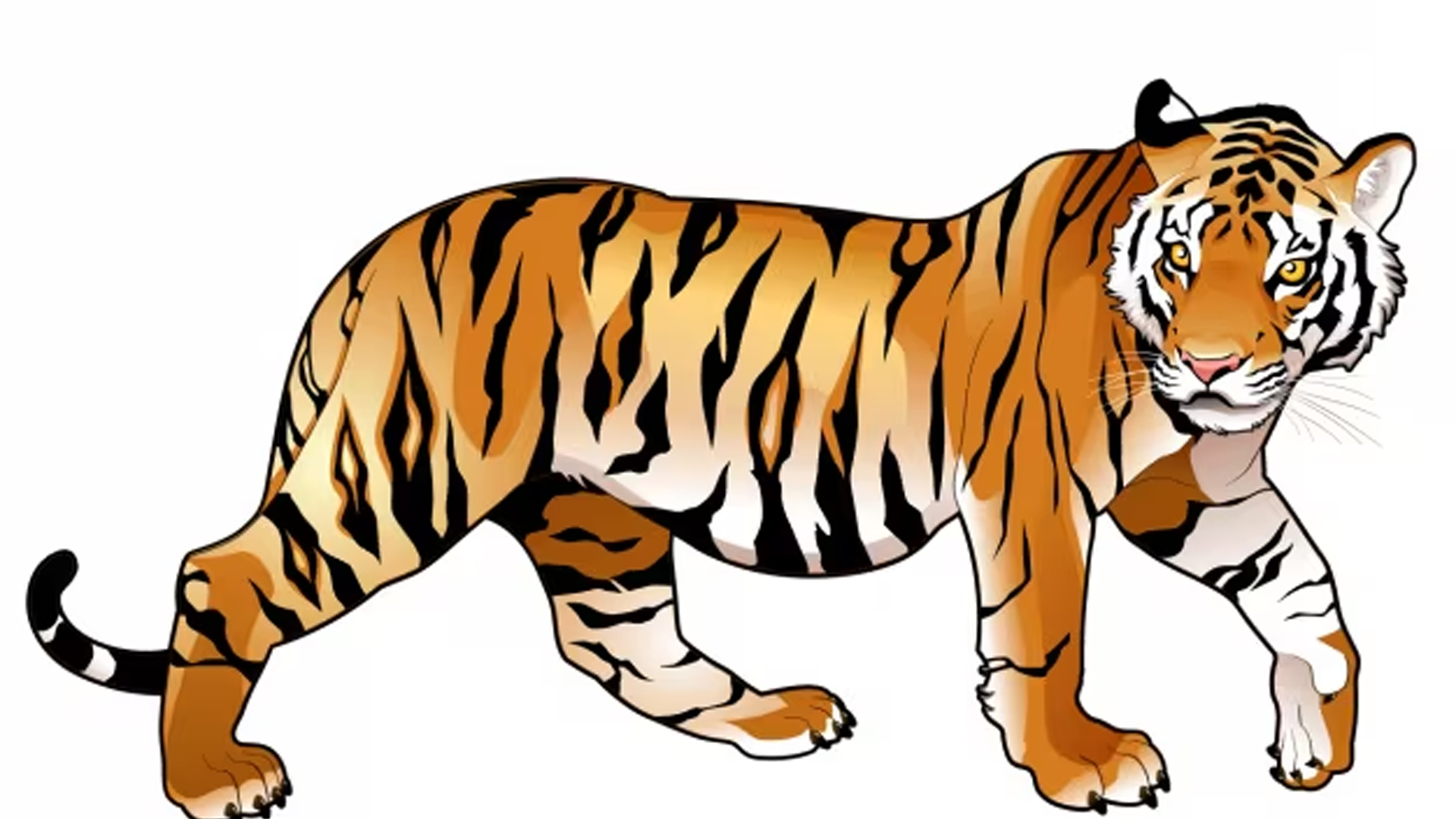 एक वृद्धाको बाघको आक्रमणमा परी मृत्यु