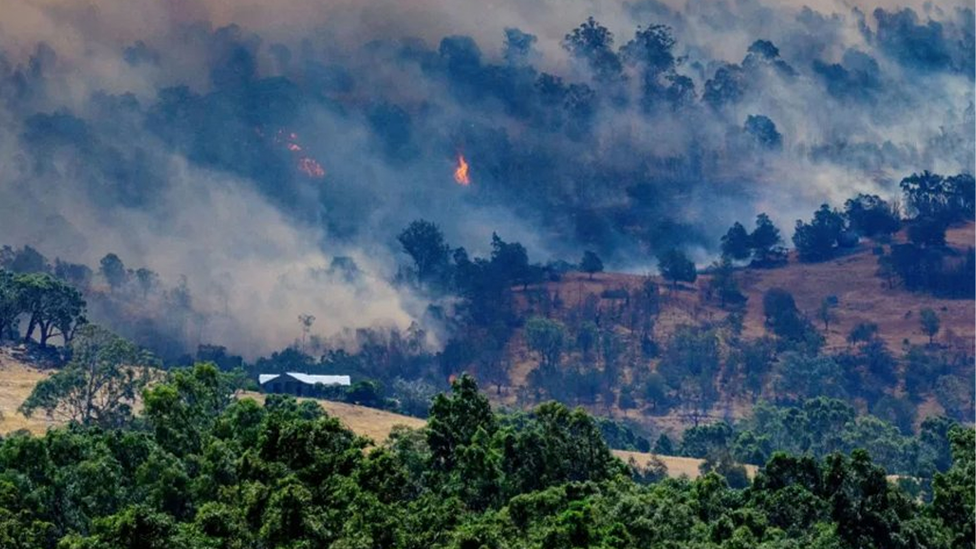 अस्ट्रेलियामा डढेलोमा परेर एक जनाको मृत्यु र ३०० घर,भवन जलेर नष्ट