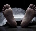 चितवनमा गैँडाको आक्रमणबाट मृत्यु