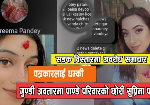 दृष्टिनेपाल संचालक तथा सम्पादकलाइ हातपात गर्ने धम्की