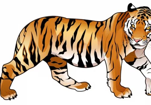 पाटेबाघको आक्रमण बढ्दै गएकोले नियन्त्रणमा लिन वा मार्न आदेश