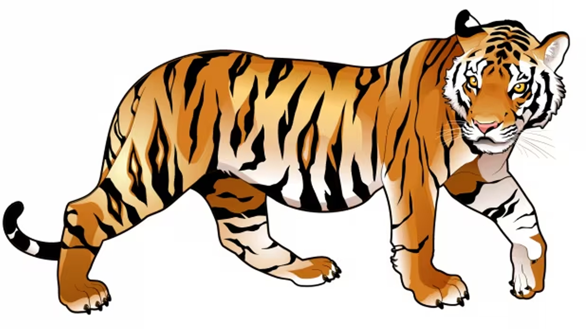 पाटेबाघको आक्रमण बढ्दै गएकोले नियन्त्रणमा लिन वा मार्न आदेश