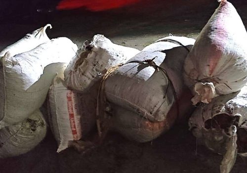 धनकुटाको जङ्गलबाट २०५ केजी गाँजासहित दुई जना पक्राउ