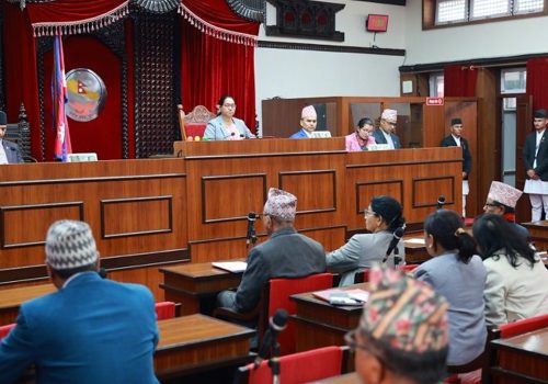 जलेका सरकारी सवारी प्रदर्शनीमा राख्न सांसद कोइरालाको माग