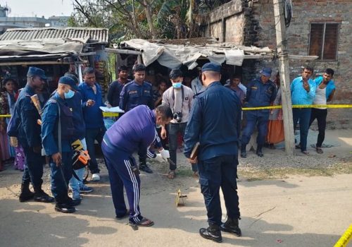 सर्लाहीमा पेस्तोल पड्किँदा बालक घाइते