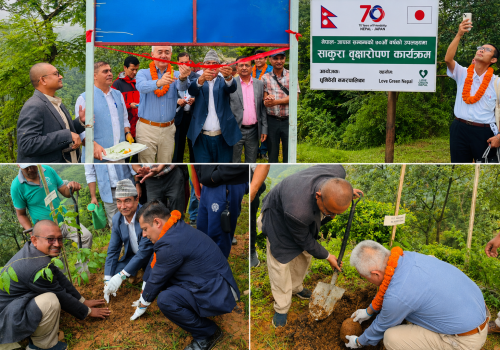नेपाल–जापान सम्बन्धको ७०औँ वर्षमा खर्केडाँडा सालक पार्कमा ७० साकुरा रोपियो