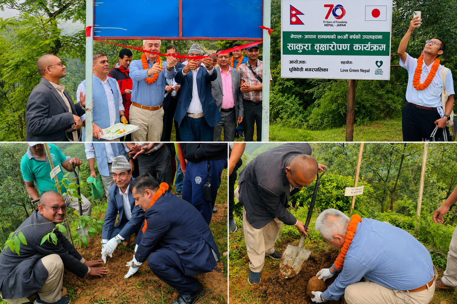 नेपाल–जापान सम्बन्धको ७०औँ वर्षमा खर्केडाँडा सालक पार्कमा ७० साकुरा रोपियो