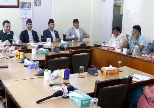 संसदीय विशेष समिति गठनबारे सिंहदरबारमा छलफल