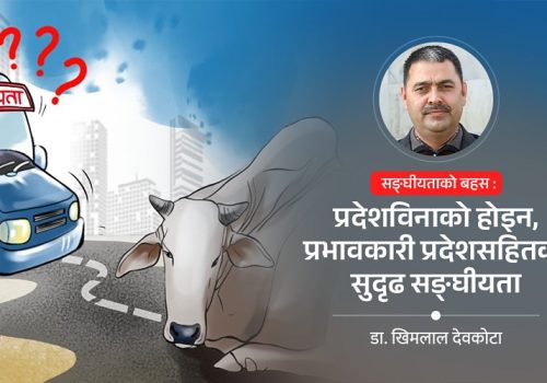 प्रदेश विनाको सङ्घीयता सम्भव छ त?