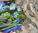 बाटो खुले पनि तरकारीको भाउ घटेन, केहीमा १५० प्रतिशतसम्म वृद्धि