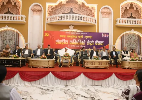 एमाले बैठकको दोस्रो दिन : केन्द्रीय सदस्यले धारणा राख्न थाले
