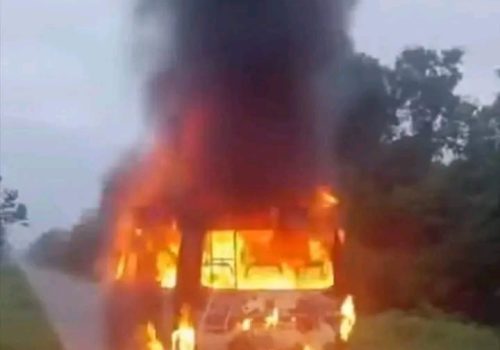 चितवनपछि बर्दियामा पनि EV माइक्रोमा आगलागी