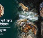 पशुमाथि क्रूरता : दोषी पक्राउ पर्छन्, कारबाही हुँदैन