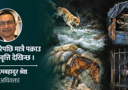 पशुमाथि क्रूरता : दोषी पक्राउ पर्छन्, कारबाही हुँदैन