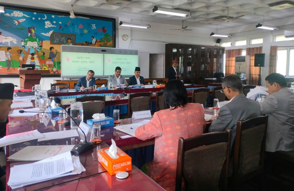 संसदीय सुनुवाइ समितिमा नेपाली भाषामा बोल्न सभापति श्रेष्ठको रुलिङ